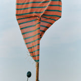 FLYING CARPET
